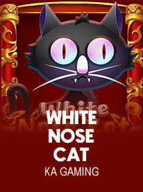 Cara Bermain White Nose Cat dengan Benar di Android